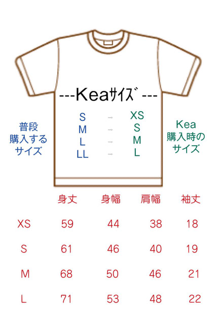 ↓↓↓ こちら・・・男女兼用Tシャツです ↓↓↓ - テニスウェア