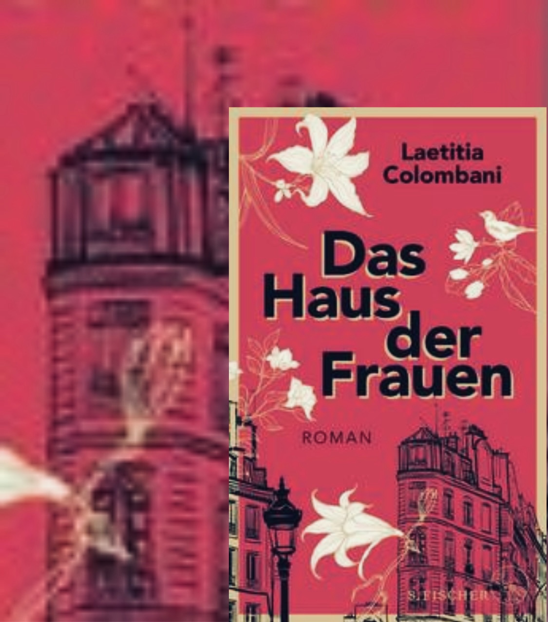 Laetitia Colombani: Das Haus der Frauen