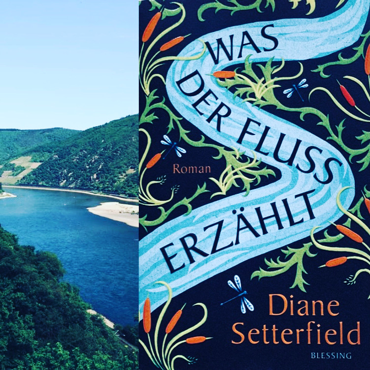 Diane Setterfield: Was der Fluss erzählt