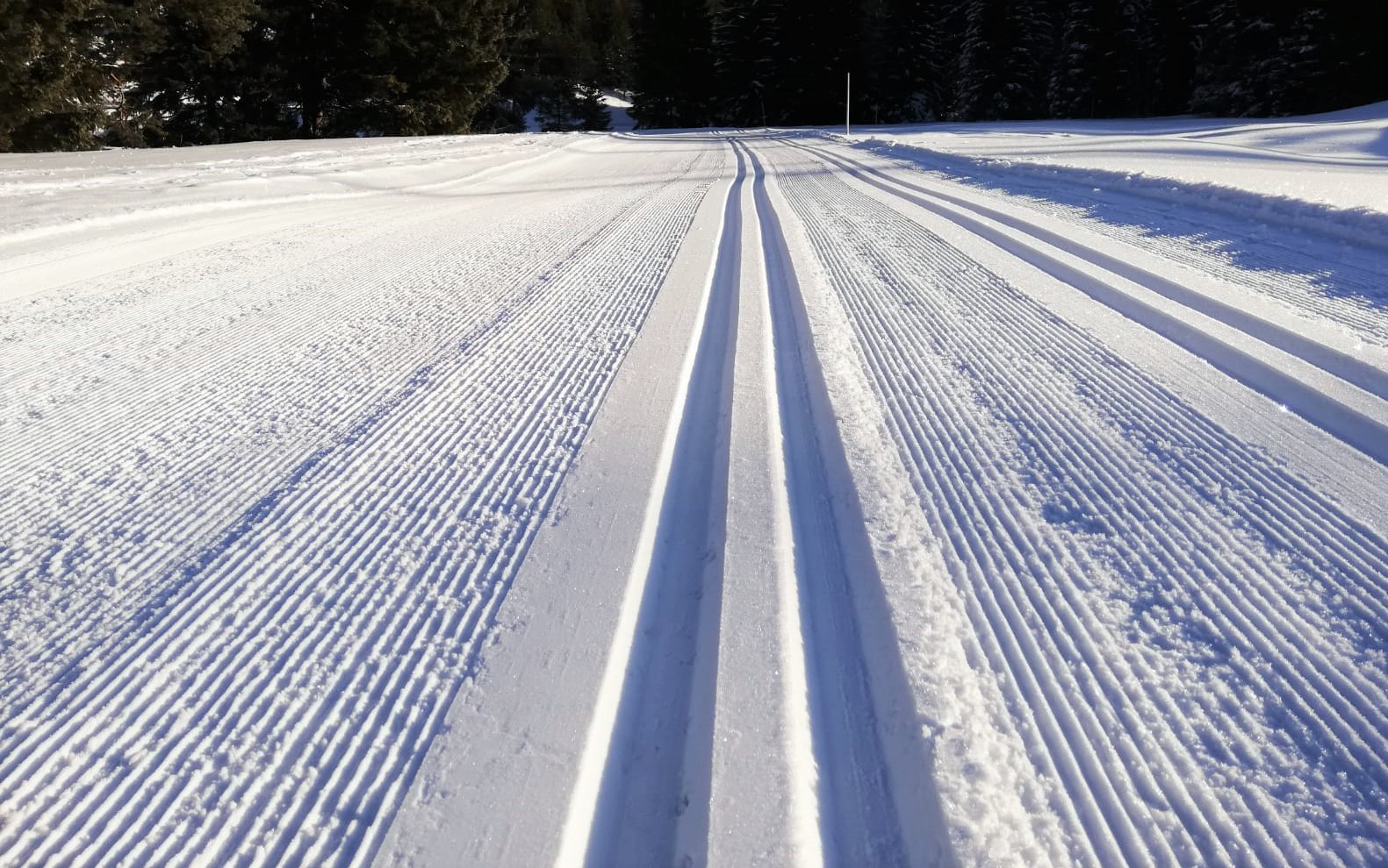 (c) Nordischeszentrum.at