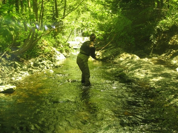 Herzi im Angerbach