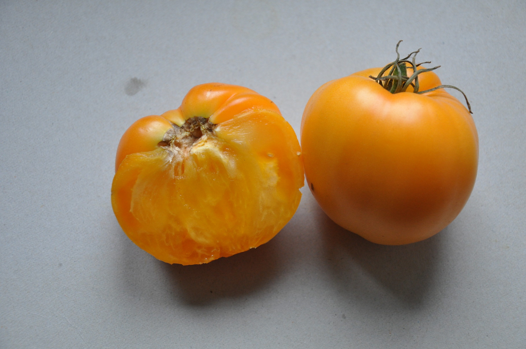 44 PSR Gelbes Ochsenherz / Schwach gerippte, ziemlich grosse, gelbe bis orange Früchte. Herzför-mig, fleischig und süsslich.