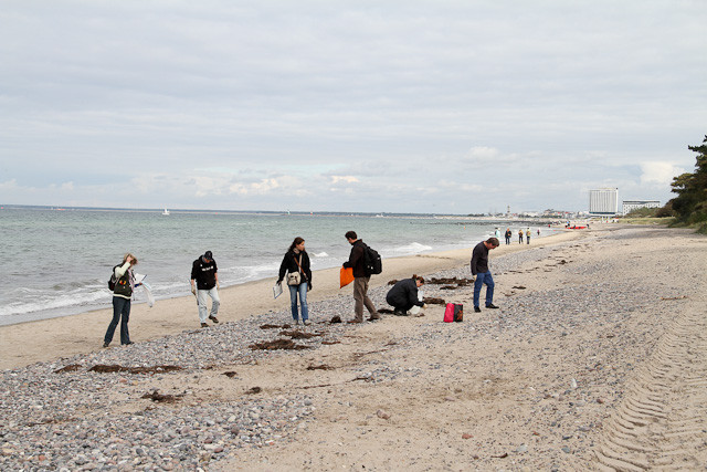 Wir kämmen den Strand ab und führen eine Strichliste.