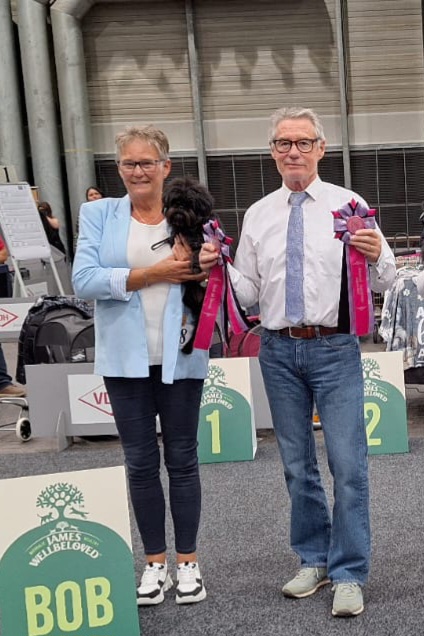 Cacib Oldenburg. Wieder Bester Affenpinscher 