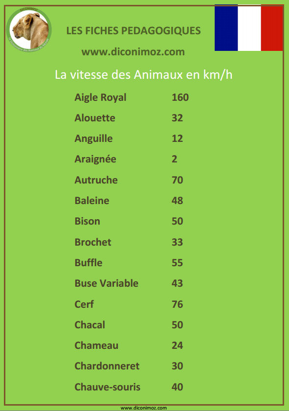 vitesse animaux