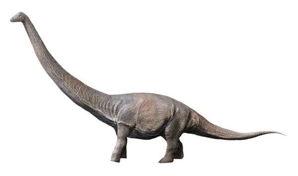 dreadnoughtus dinosaure cretacé