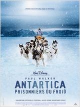 animaux film antartica