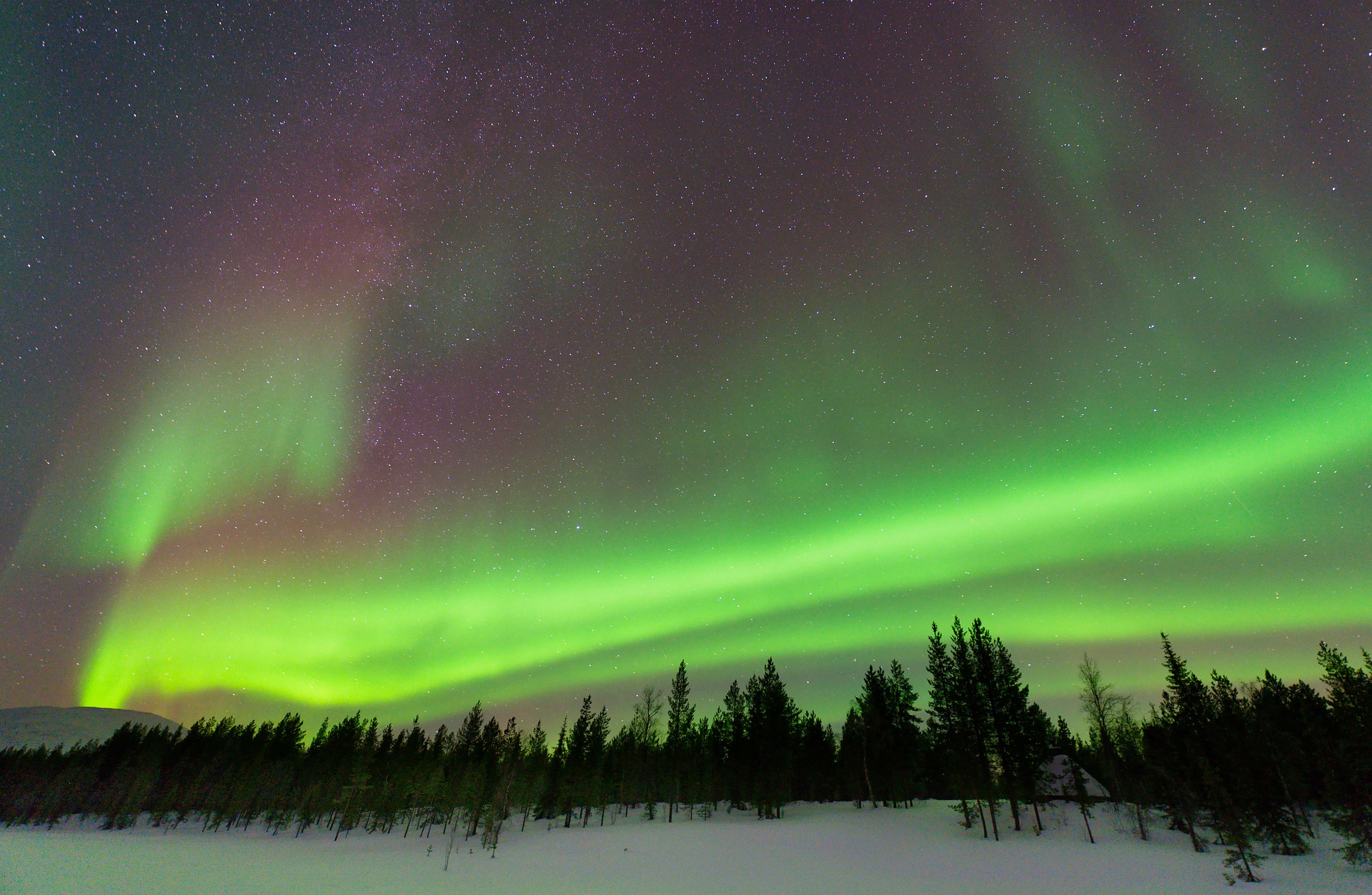 Entre faune enchantée et légendes du Père Noël, la Laponie nous offre un émerveillement