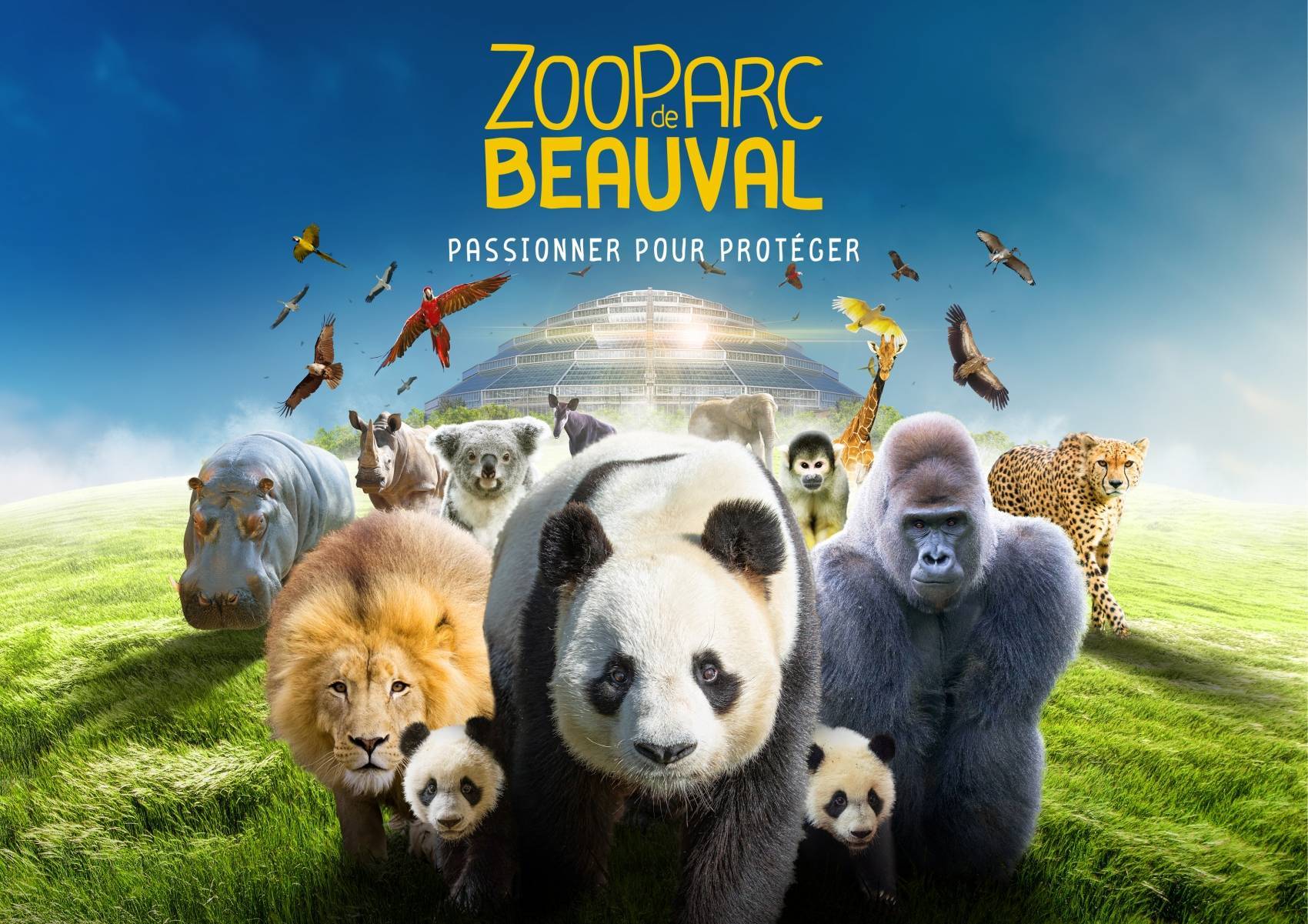 ZooParc de Beauval : une évasion pédagogique au cœur de la faune et de la conservation