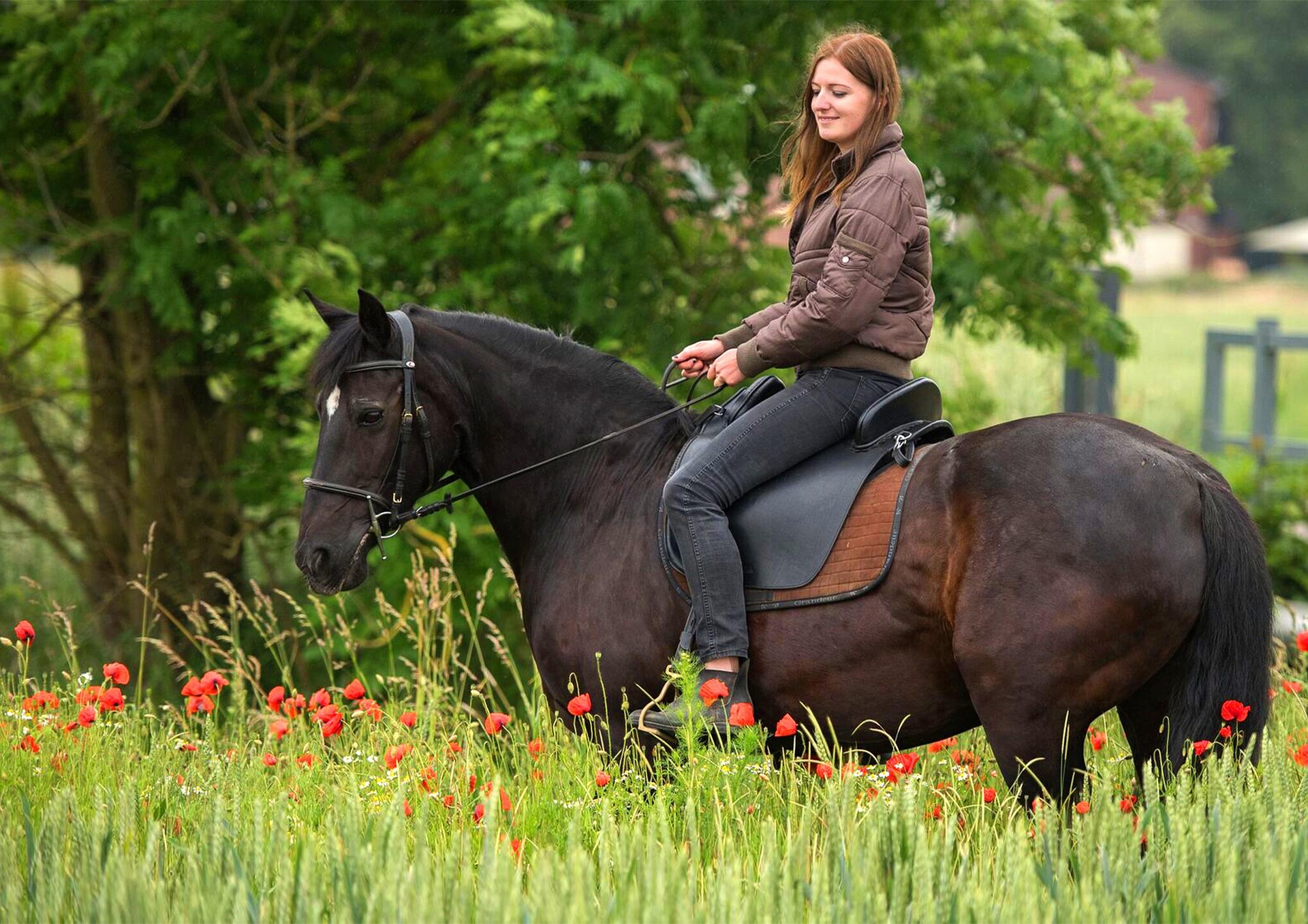 Les 10 erreurs les plus fréquentes à cheval (et comment les éviter)
