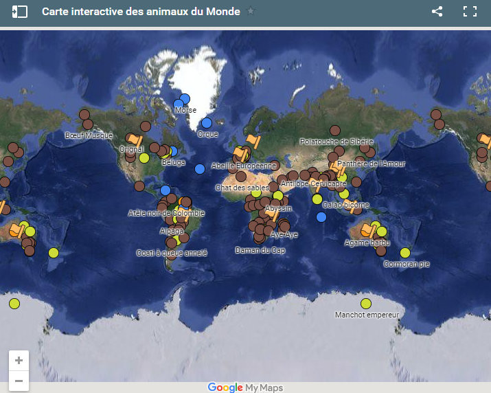 carte interactive animaux du monde map world