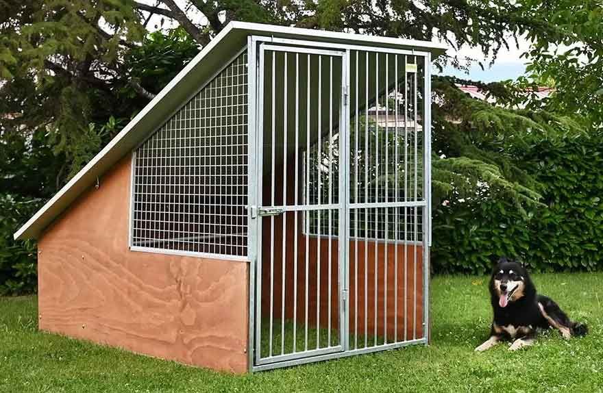 Des chenils d'extérieur sur mesure : la solution Ferranti pour un élevage canin performant