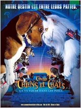 animaux film chiens et chats