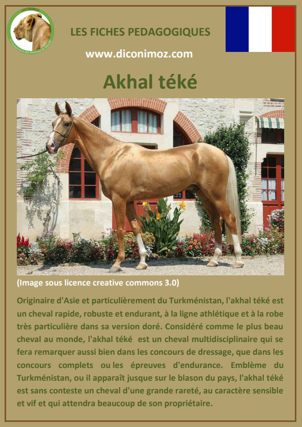 fiche chevaux cheval pdf pedagogique origine caractere comportement robe à letelcharger et a imprimer pour l'école ou la maison