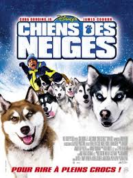 film chien des neiges chiens de traineaux