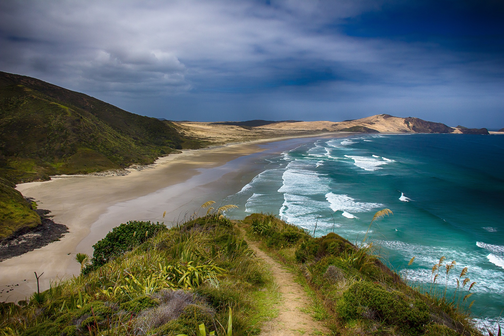 Les lieux incontournables pour observer la faune de Nouvelle-Zélande