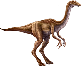 Image animaux detourée transparent sur fond blanc dinosaure png