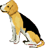 gif anime chien