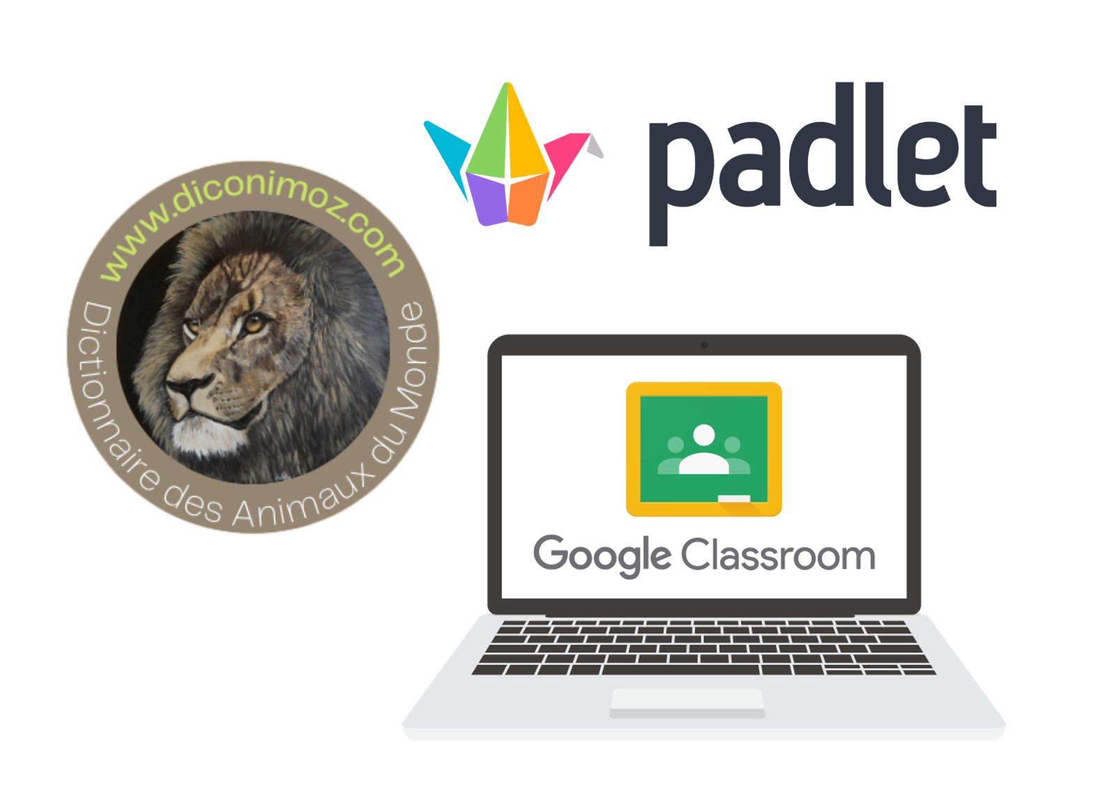 Pourquoi utiliser Padlet et Google Classroom en synergie avec notre dictionnaire des animaux du monde ?