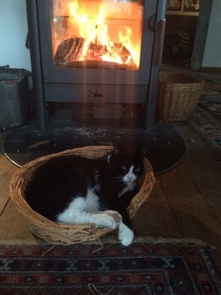 Kater Filou macht es sich vor dem Kaminofen bequem. Herrlich die Wärme! Was soll ich rausgehen?