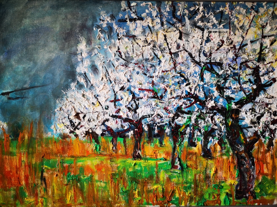 Kirschblüte 2011