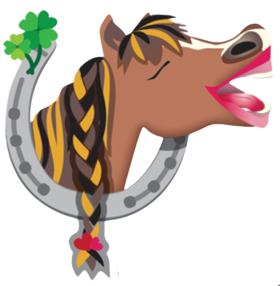 Wir sind "Team Ponykerstin"!