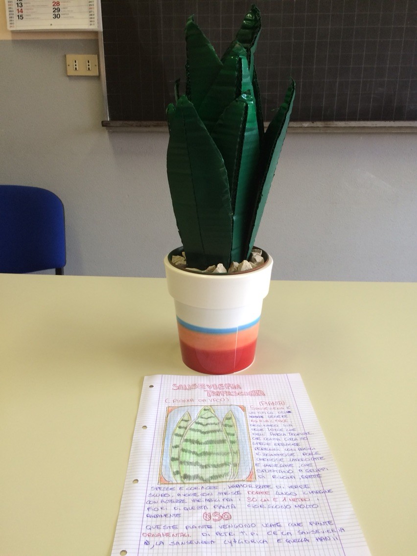 Progetto estivo regno delle piante 2015: Antonio
