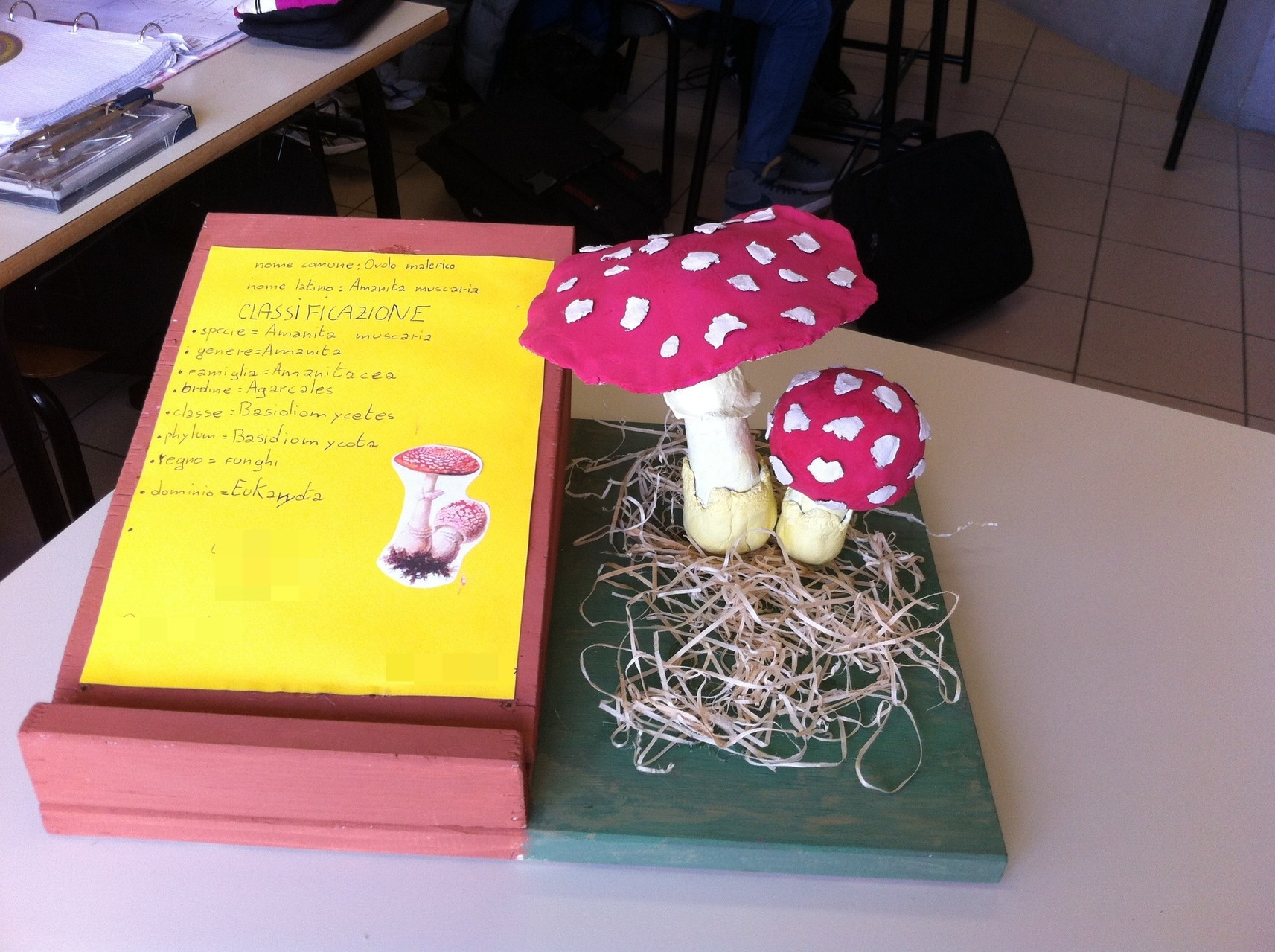 Progetto Linneo e la nomenclatura binomia: classe ID 2013/14