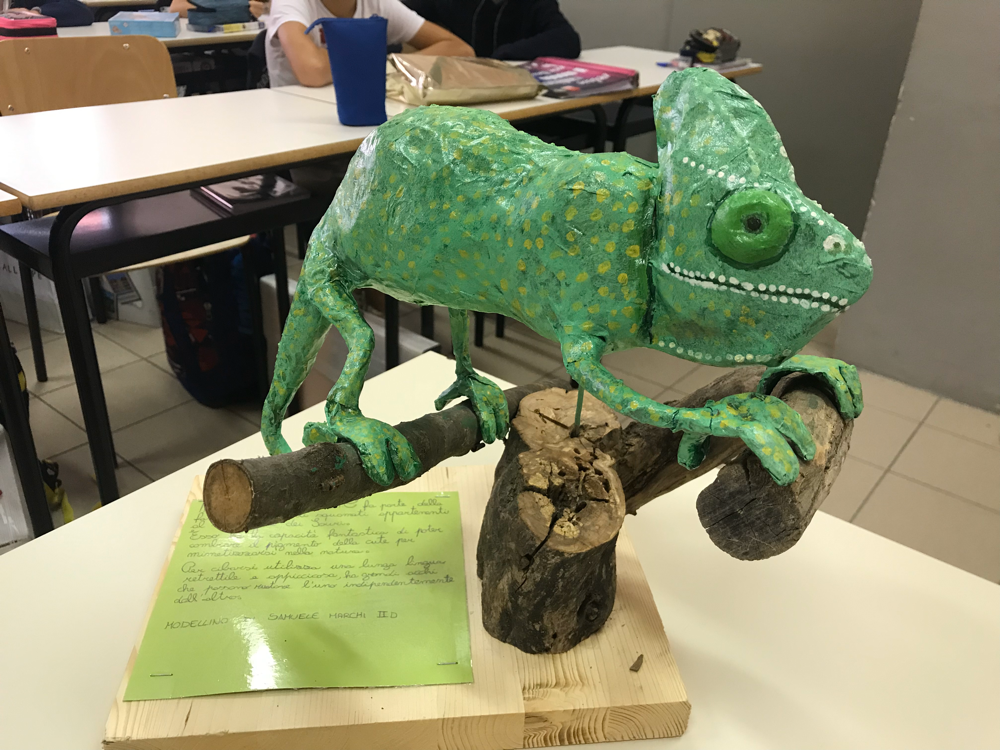 Progetto Scienze 2019 - Samuele