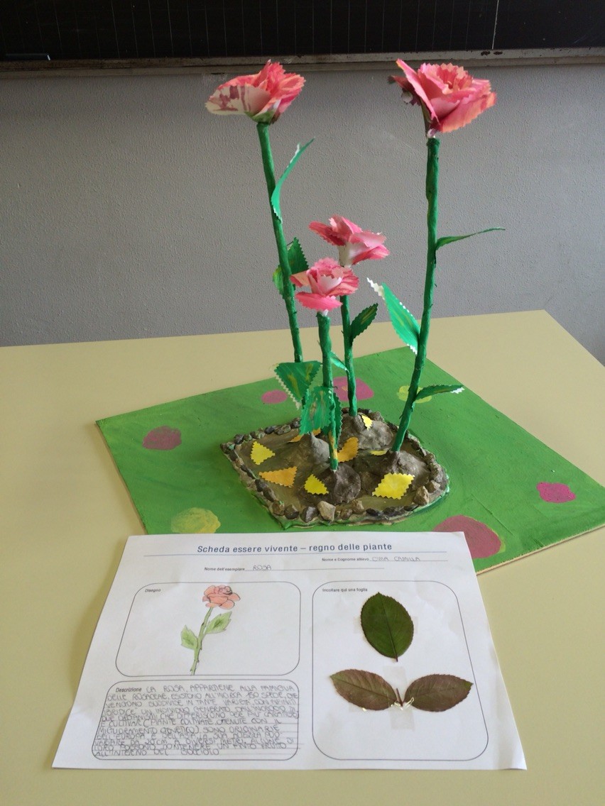 Progetto estivo regno delle piante 2015: Camilla