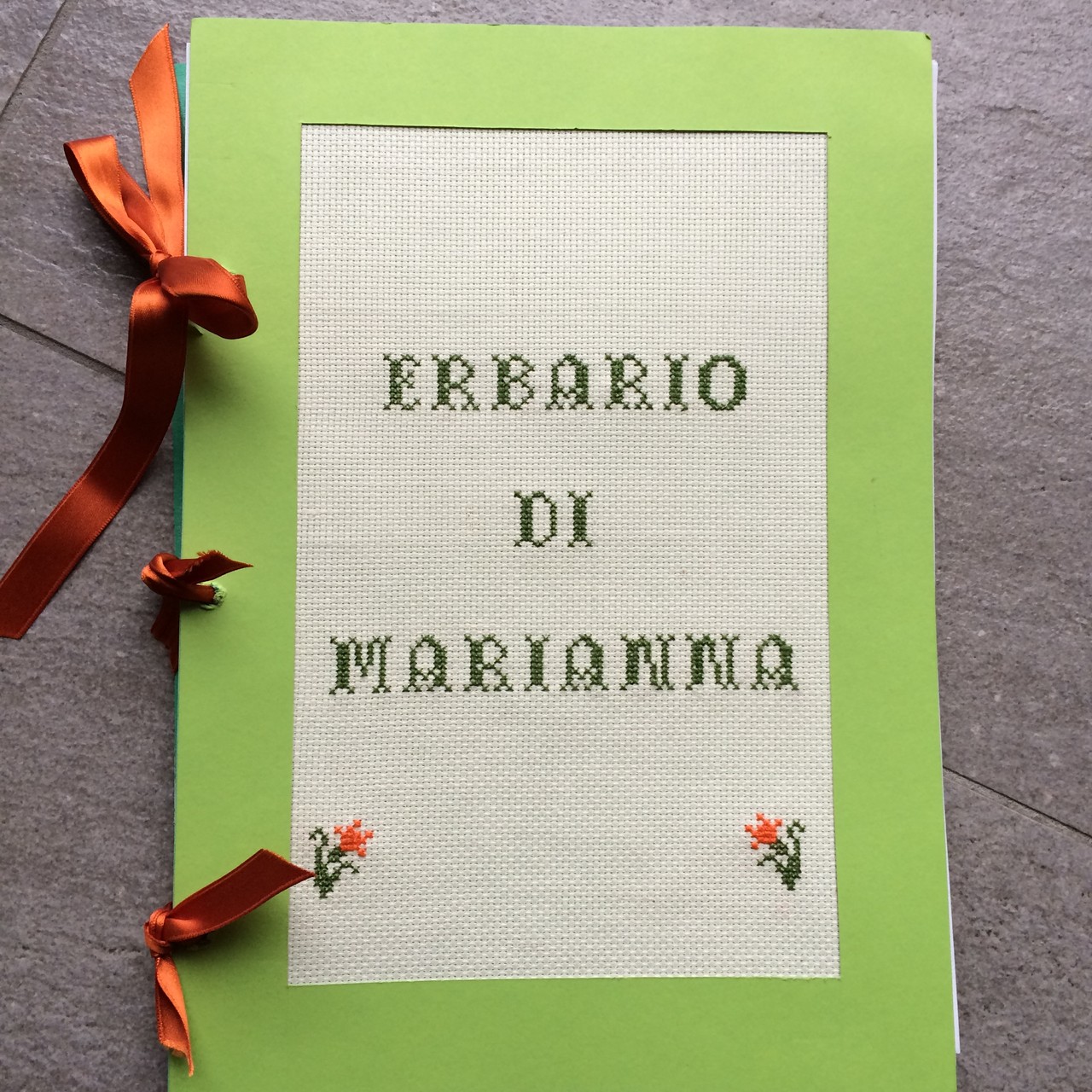 Progetto Erbario, le copertine più originali: classe IID 2014/15
