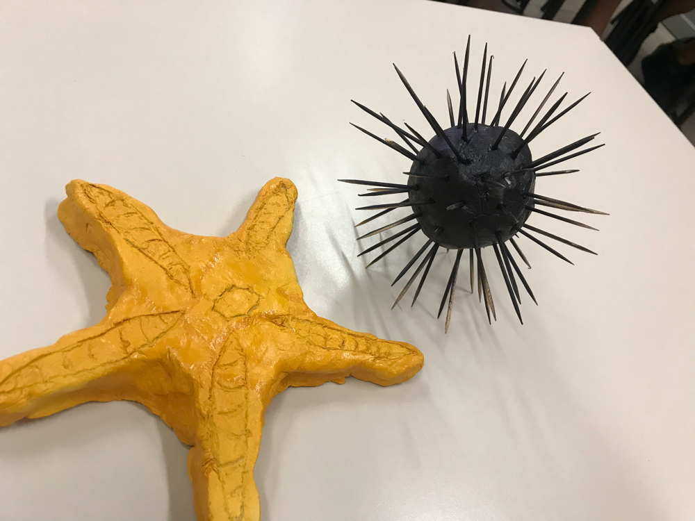 Progetto Scienze 2019 - Federico e Francesco
