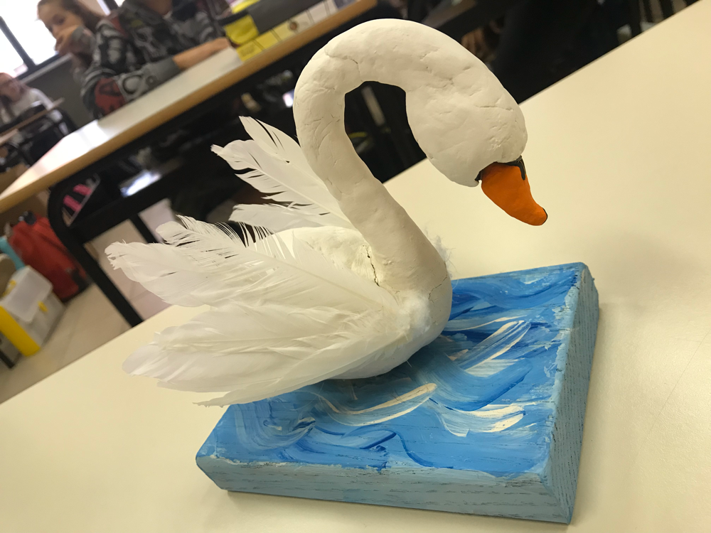 Progetto Scienze 2019 - Anita