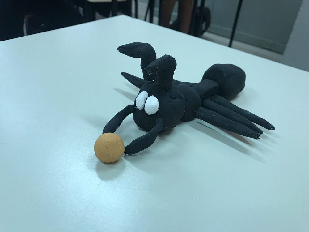 Progetto Scienze 2019 - Lorenzo