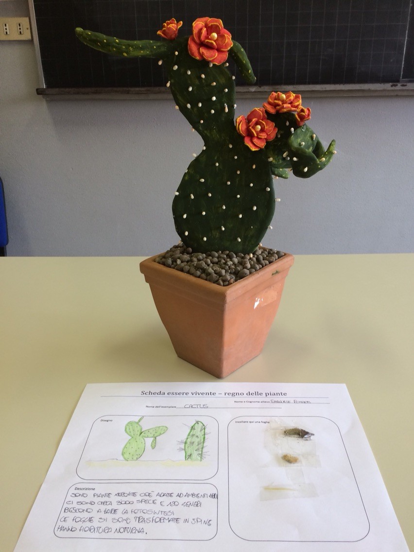Progetto estivo regno delle piante 2015: Emauele