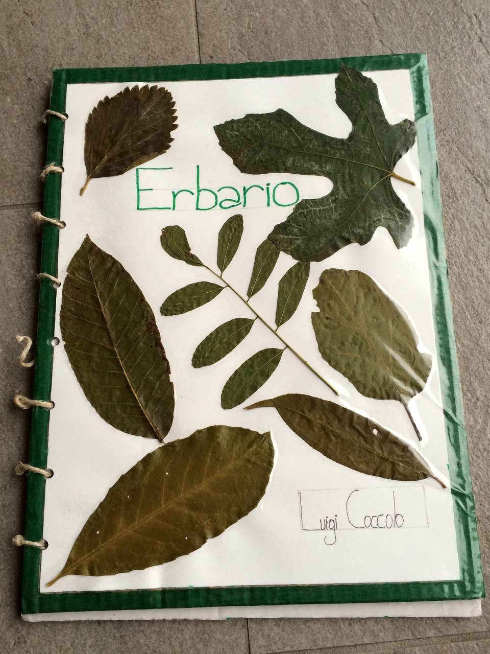 Progetto Erbario, le copertine più originali: classe IID 2014/15