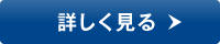 詳しく見る