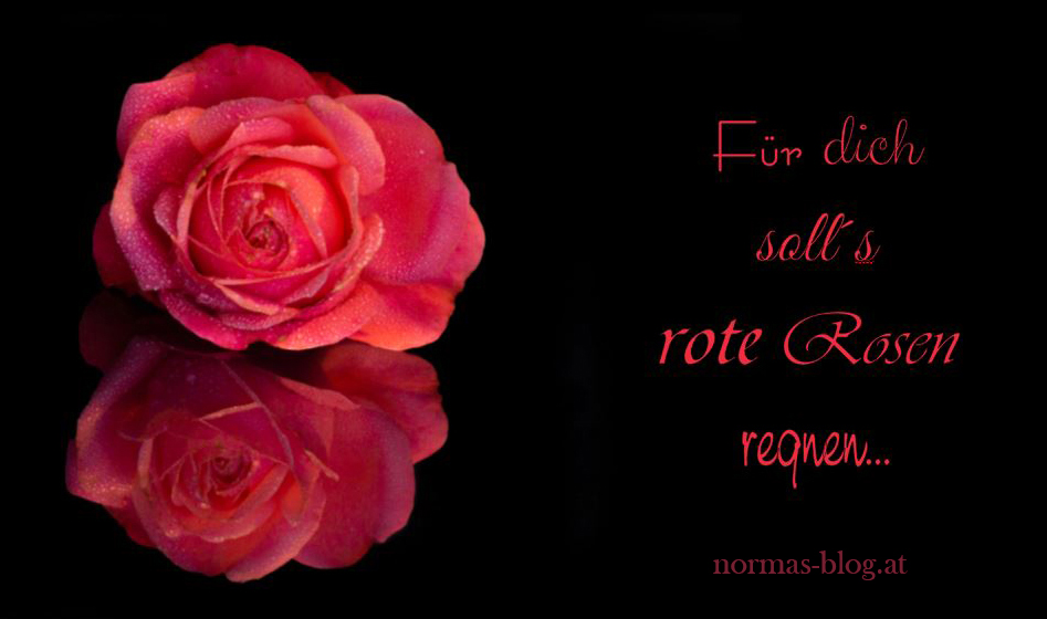 Sprüche normasblog.at