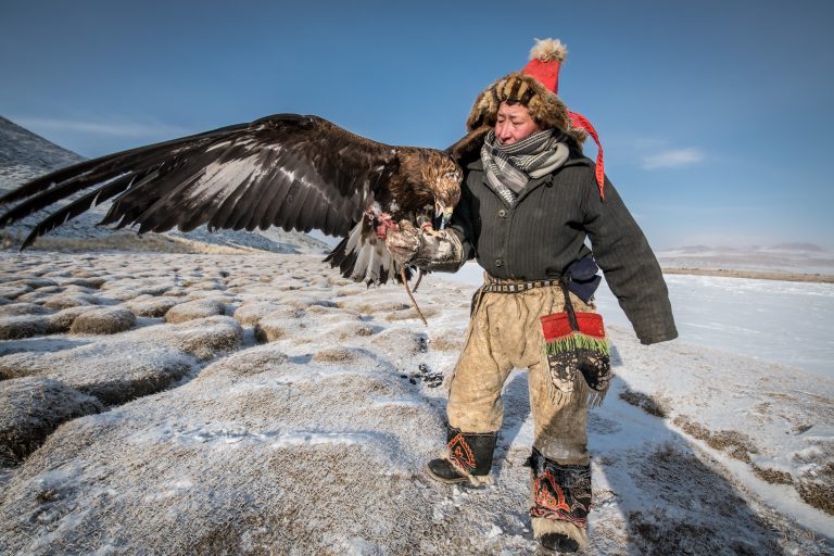 Hunting season with golden eagle