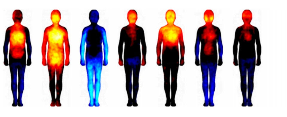 Psicosomatica, Bioenergetica, Emozioni