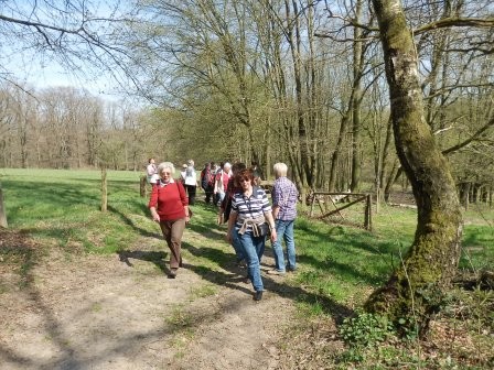 an den Pingen vorbei (Foto:D.Mathes)