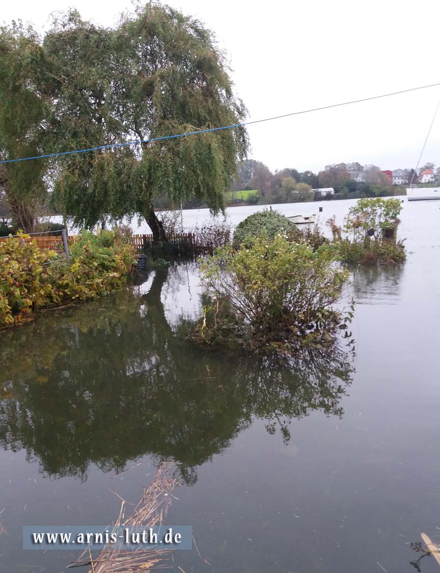 Die Schlei im Garten...