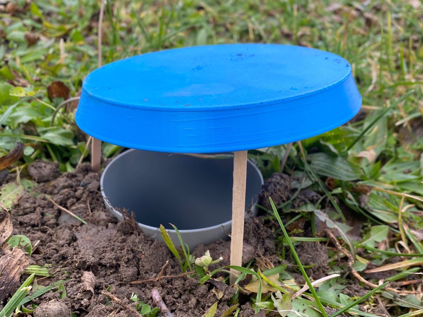 Pitfall trap et identification de macroinvertébrés