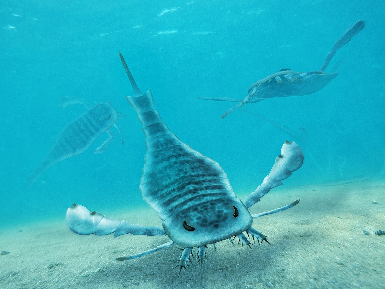 Scorpion de mer (vue d'artiste)