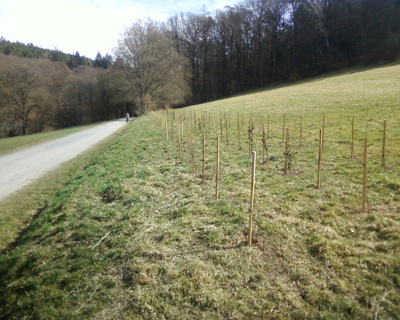 Abschnitt C