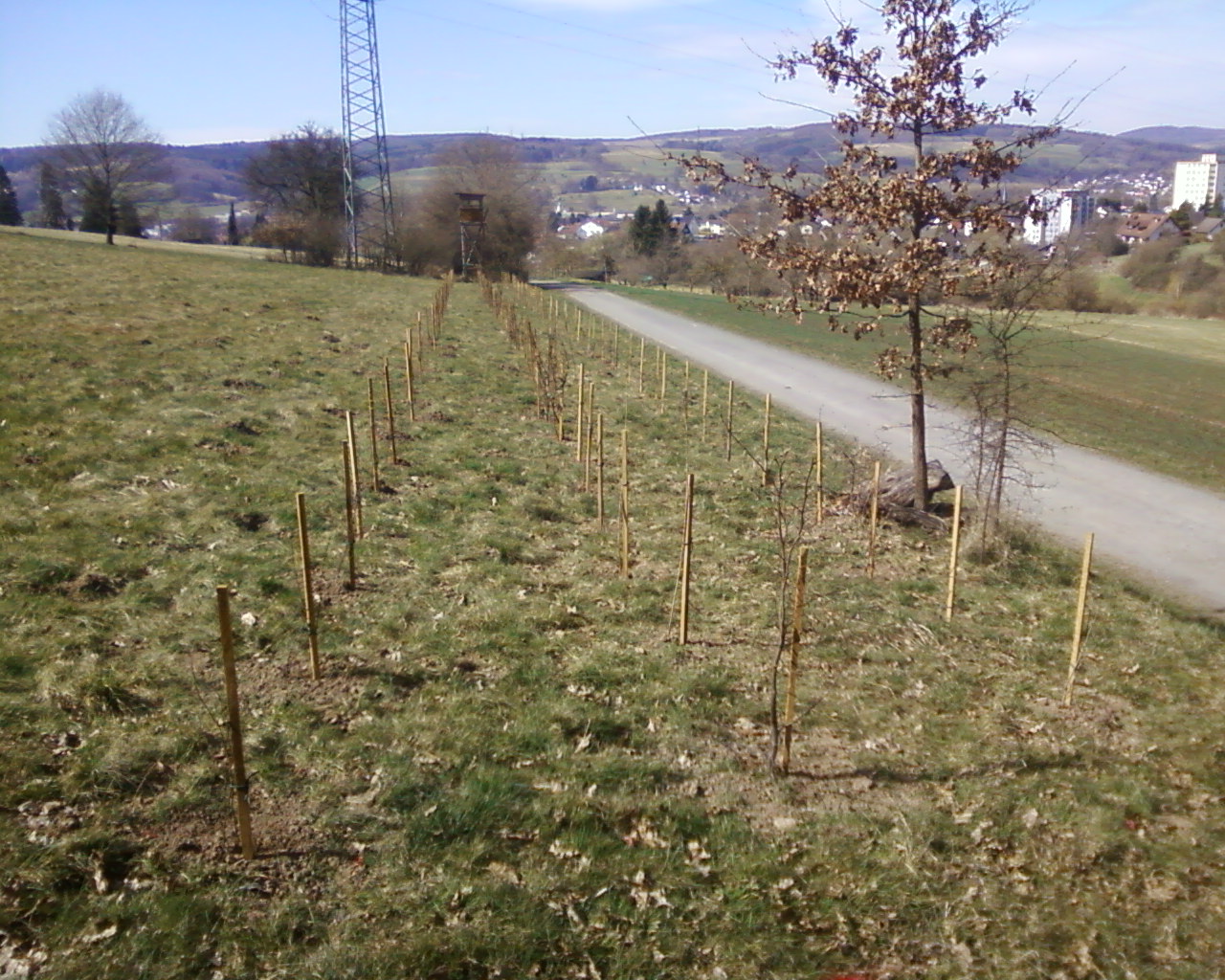 Abschnitt C