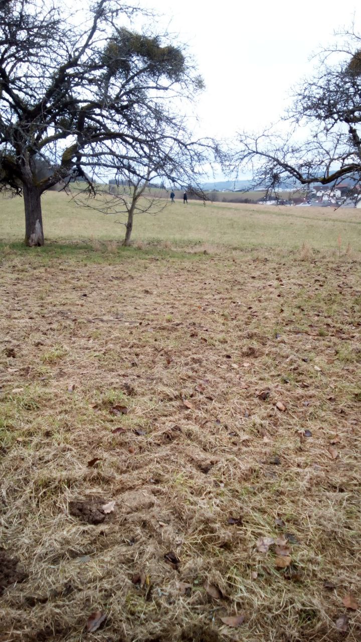 Blick nach Süden