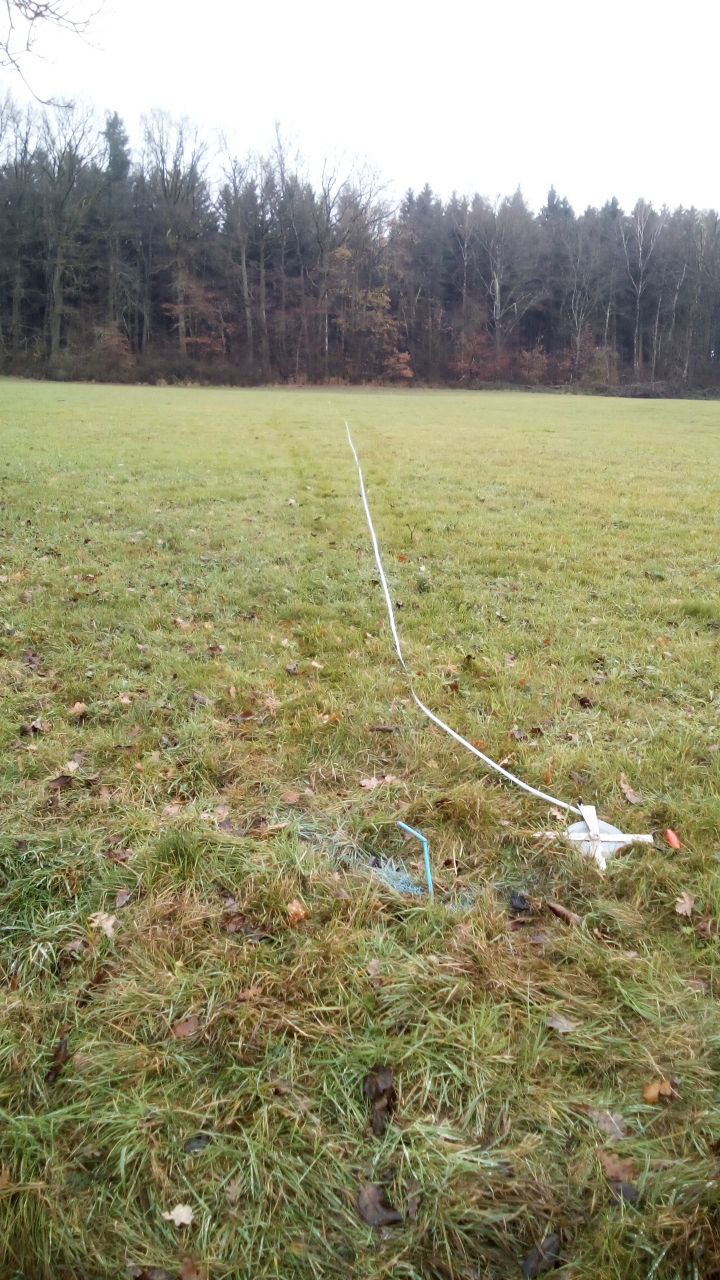 Hangaufwärts bs zum Wald