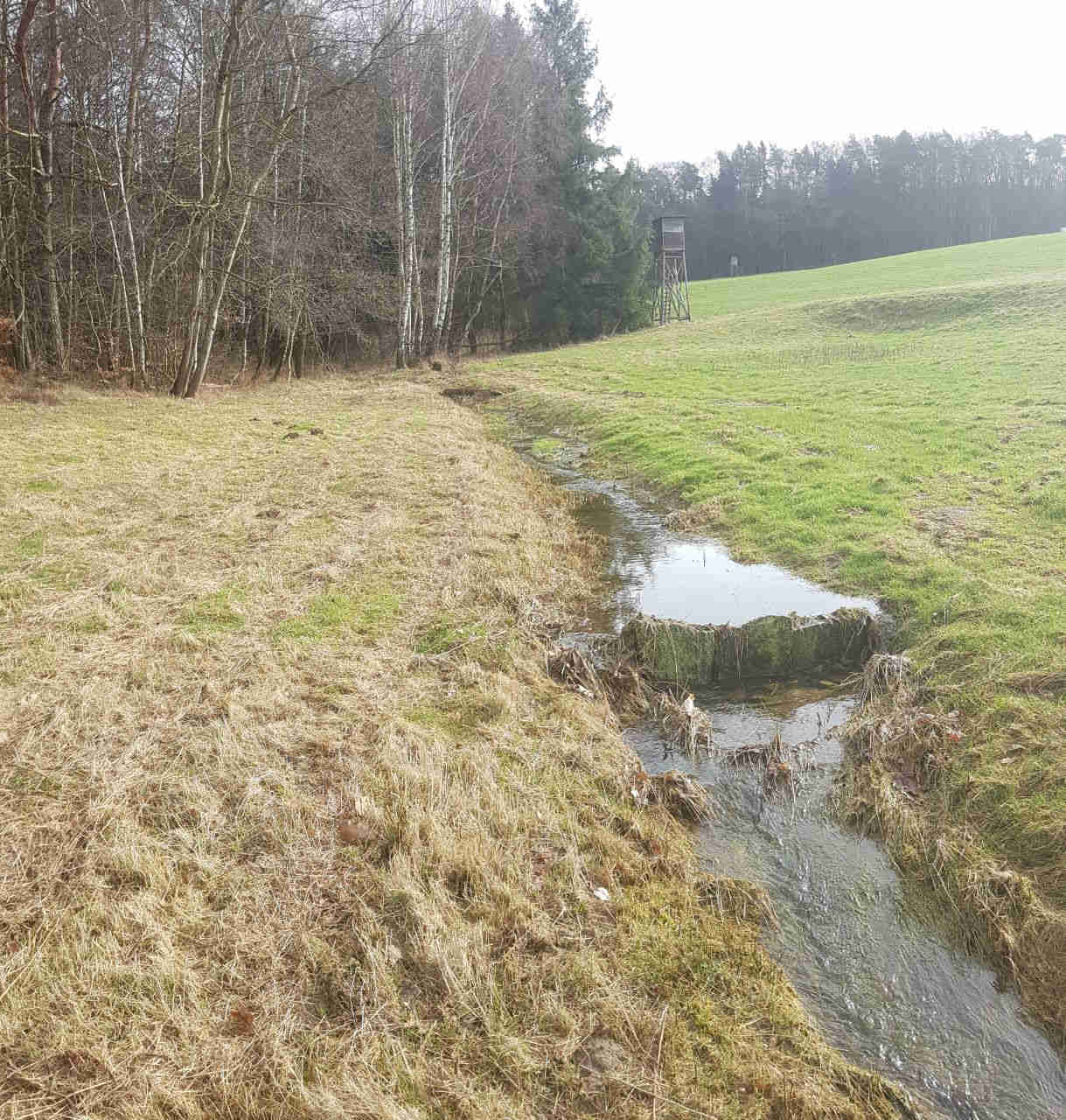 Die Staustufen halten das Wasser in der Fläche