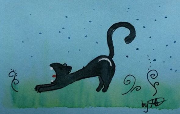 #100kittycats Nr.20
